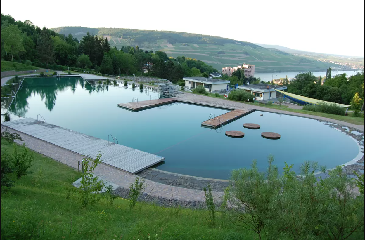 Leser-Voting: Das ist das beste Freibad in Mainz und Umgebung